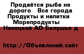 Продаётся рыба не дорого - Все города Продукты и напитки » Морепродукты   . Ненецкий АО,Белушье д.